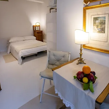 Acacia - Anteo Floransa